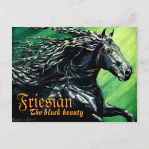 Friesian, The black beuaty, halllion pferd Postkarte