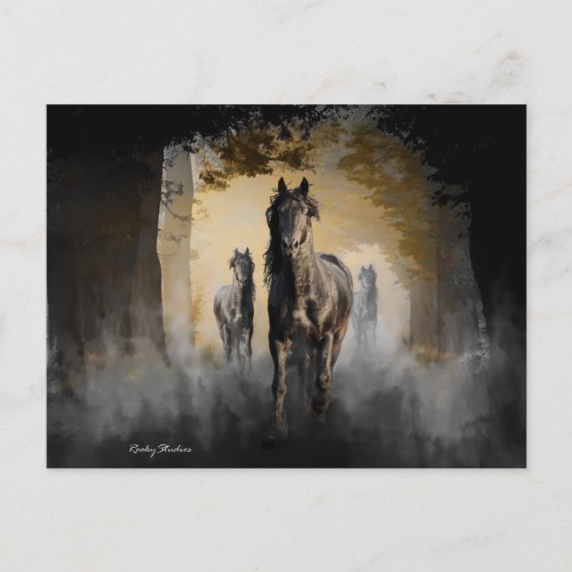 Friesian Three Postkarte (Vorderseite)