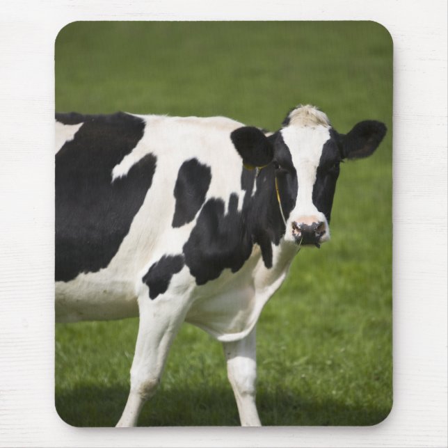 Friesische Kuh Mousepad (Vorne)