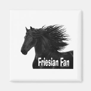 Friesischer Fan Magnet