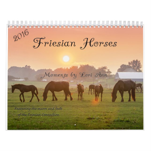 Friesischer Pferdekalender Kalender (Titelbild)