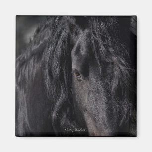 Friesisches Bild Magnet