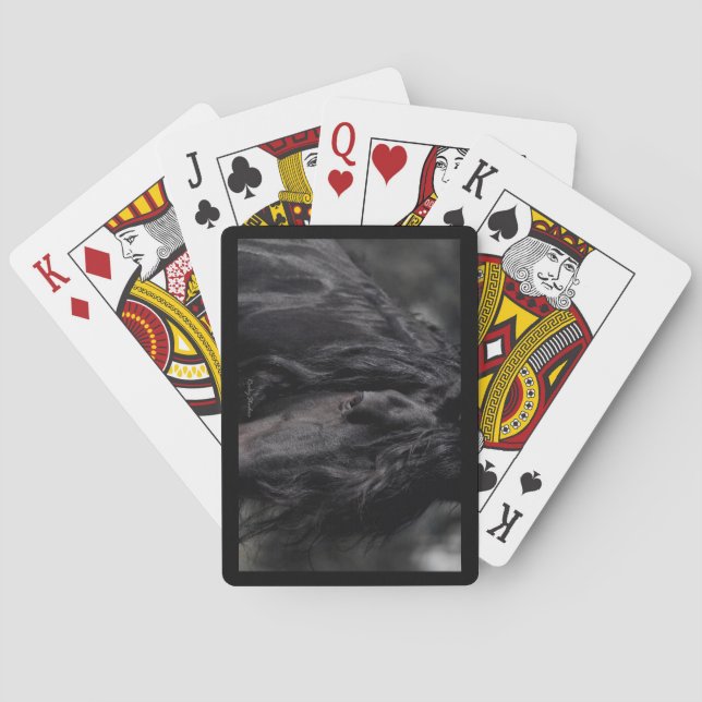 Friesisches Bild Spielkarten (Rückseite)