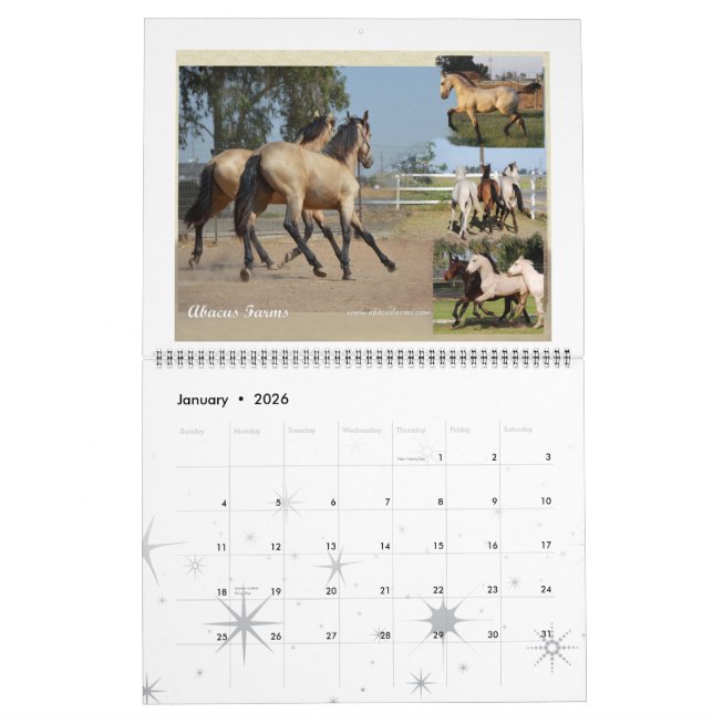 Friesisches Erbenormes Foto Kalender (Jan 2026)