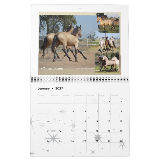 Friesisches Erbpferdestandardgröße Kalender (Jan 2027)