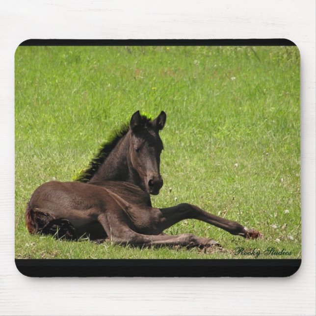 Friesisches Fohlen mousepad (Vorne)