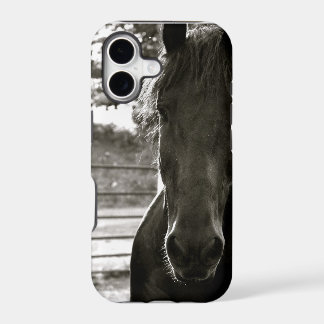 Friesisches Pferd iPhone-Hülle
