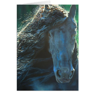 Friesisches Pferd, schwarzer Hengst
