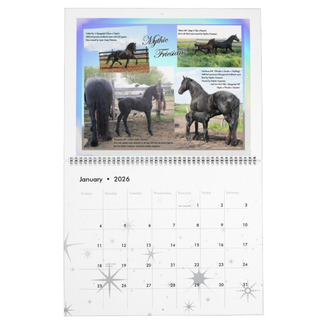 Friesisches Pferdeenormes Foto Kalender (Jan 2026)