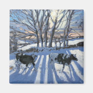 Friesisches Rind schüchtert 2009 ein Magnet