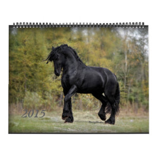 Friesisches Rind und Pferd 2015 Kalender