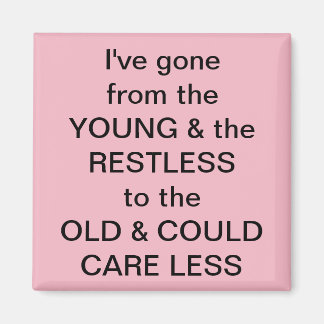 Frig-Fun-Magnet Magnet