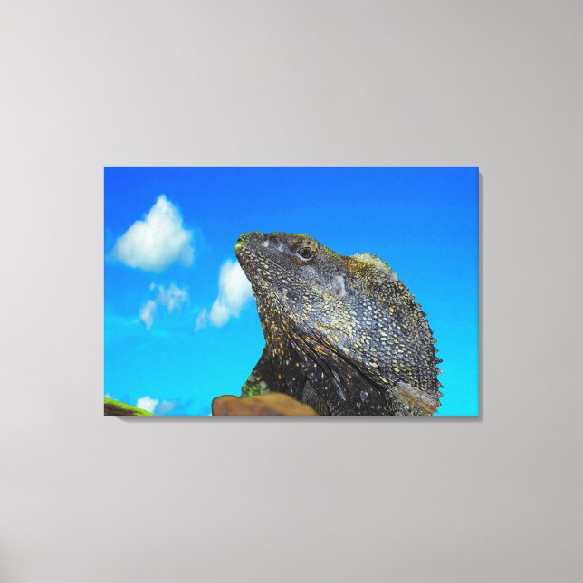 Frill halackte Lizard Leinwanddruck (Vorderseite)