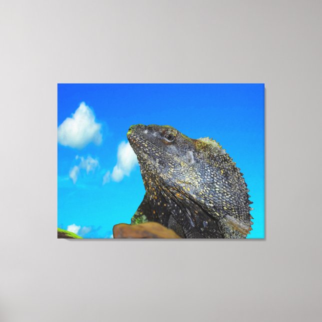 Frill halackte Lizard Leinwanddruck (Vorderseite)