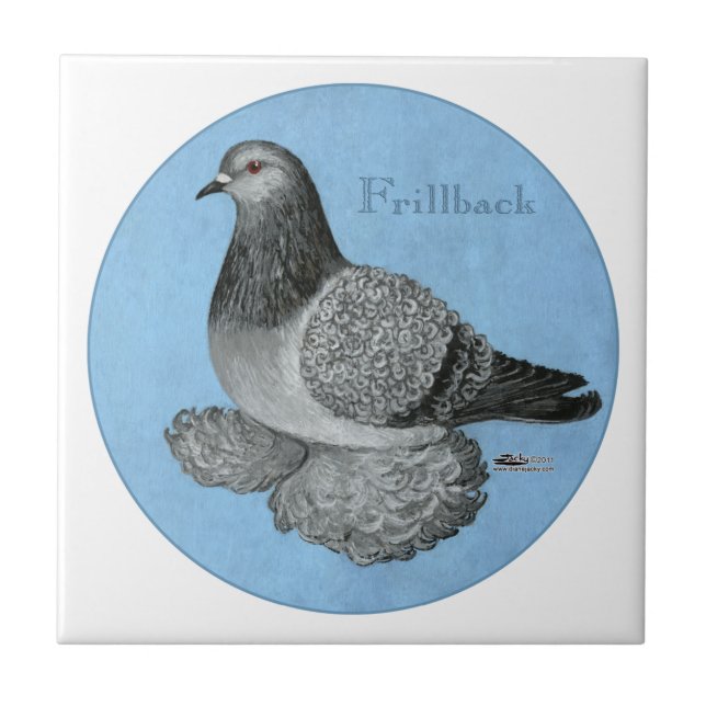 Frillback Blue Grizzle Pigeon Fliese (Vorderseite)