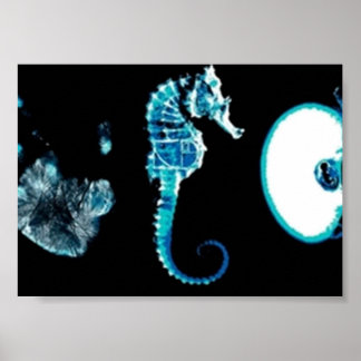 Fringe Glyphen Poster