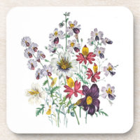 Fringeblumen und samtene Trompeten-Blume