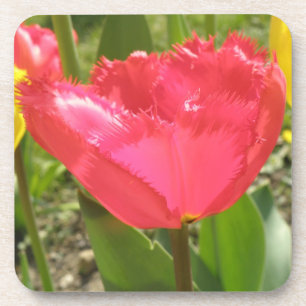 Fringed Tulips Cork Untersetzer