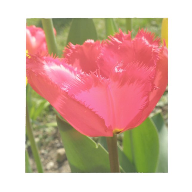 Fringed Tulips Notepad Notizblock (Vorderseite)