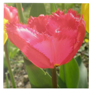 Fringed Tulips Tile Fliese