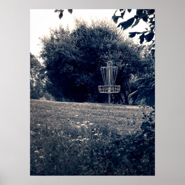 Frisbee Disk Golf Basket Poster (Vorne)