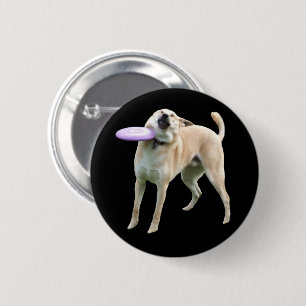 Frisbee Dog Meme Button Button