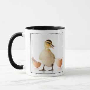 Frisch ausgebrütetes Küken neben defekter Tasse