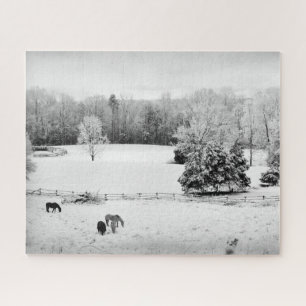 Frisch gefallener Schnee auf der Pferderasse - 16x