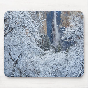 Frisch gefallener Schnee in den Bäumen unterhalb v Mousepad