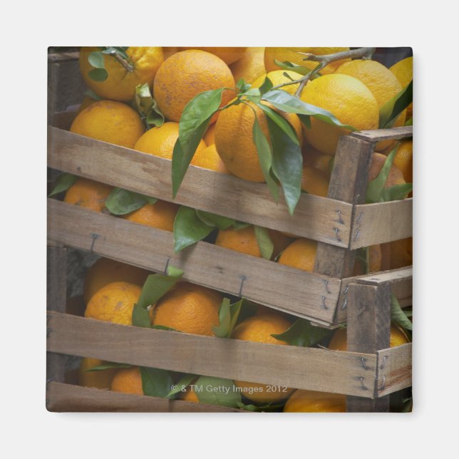 frisch gepflückte Orangen Magnet (Vorne)