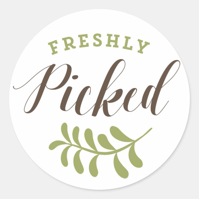 Frisch gepicktes Retro-Typografie-Aufkleber Runder Aufkleber (Vorderseite)