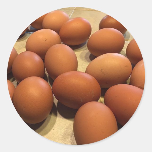 Frisch gezüchtete braune Eier Runder Aufkleber (Vorderseite)