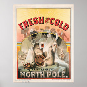 Frisch und kalt - Bier direkt vom Nordpol Poster