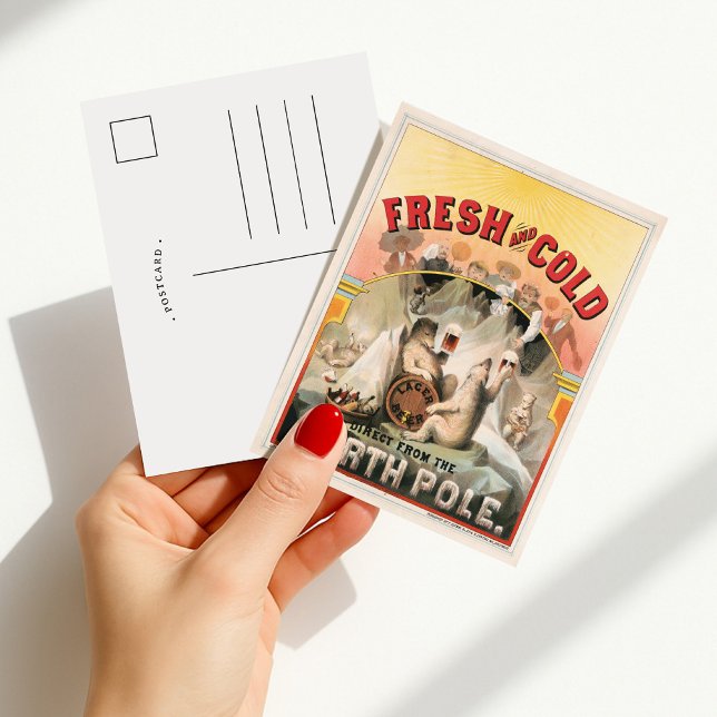 Frisch und kalt - Bier direkt vom Nordpol Postkarte (Von Creator hochgeladen)