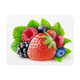 Frischbeeren Magnet