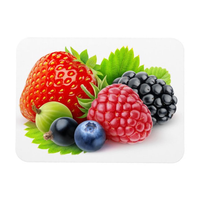 Frischbeeren Magnet (Horizontal)