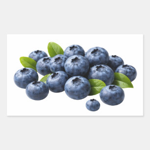 Frische Blaubeeren mit Blättern Aufkleber