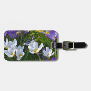 Frische Crocuses in verschiedenen Farben Gepäckanhänger