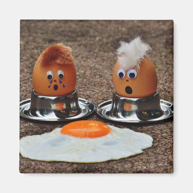 Frische Eier Magnet (Vorne)