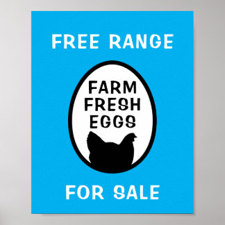Frische Eier Poster