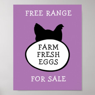 Frische Eier Poster