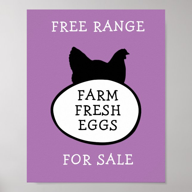 Frische Eier Poster (Vorne)