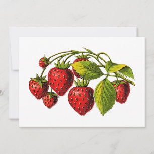 Frische Erdbeeren Einladung