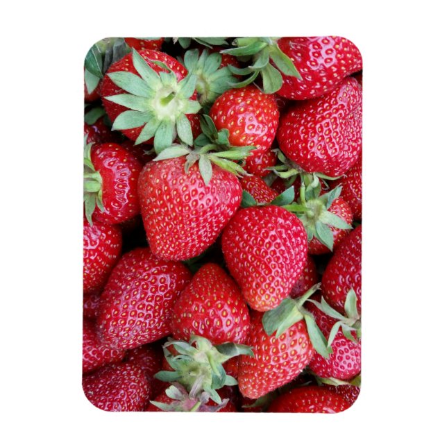 frische Erdbeeren Magnet (Vertikal)