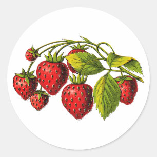 Frische Erdbeeren Runder Aufkleber