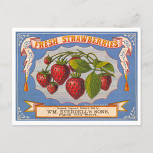 Frische Erdbeeren Vintage-Lithographie-Werbung Postkarte