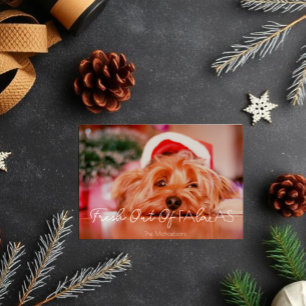 Frische FaLaLas Lustige Weihnachten Haustiere