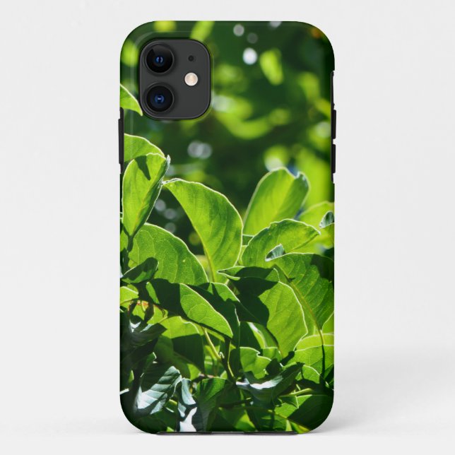 frische Frühlingsgrüne Blätter. Naturfotografie. Case-Mate iPhone Hülle (Rückseite)
