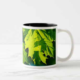Frische grüne Ahornblätter Zweifarbige Tasse