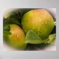 Frische grüne Äpfel mit fehlender Grenze